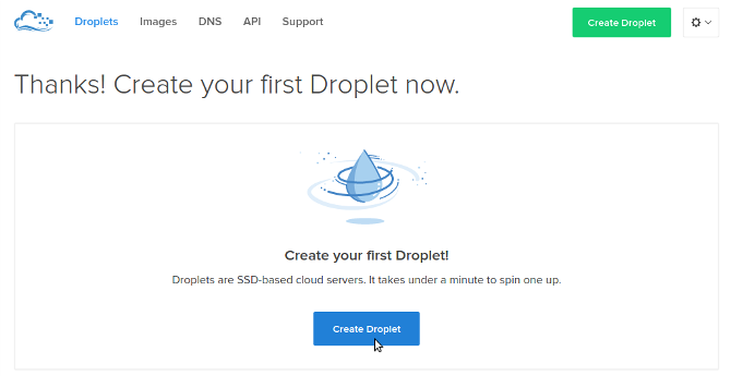 Create a Droplet on DigitalOcean.